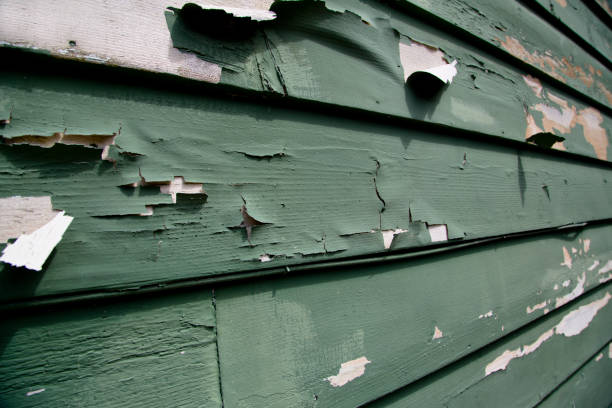 Best Residential Vinyl Siding Installation  in Springdale, NC