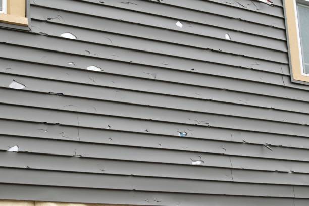 Best Engineered Wood Siding  in Springdale, NC
