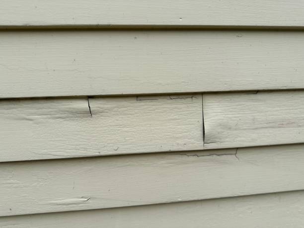 Best Historical Building Siding Restoration  in Springdale, NC